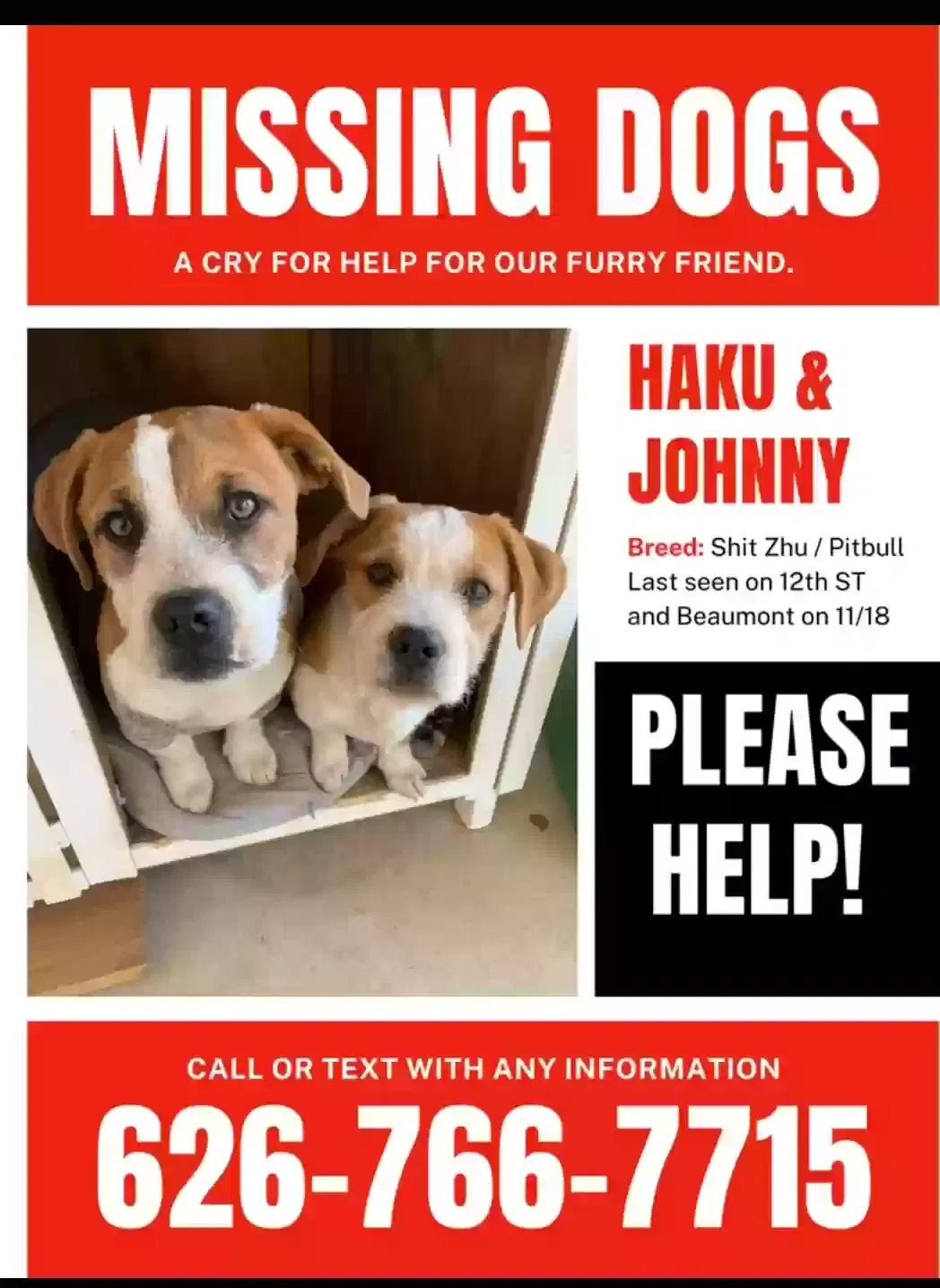 Lost dog in Beaumont, CA, 92223