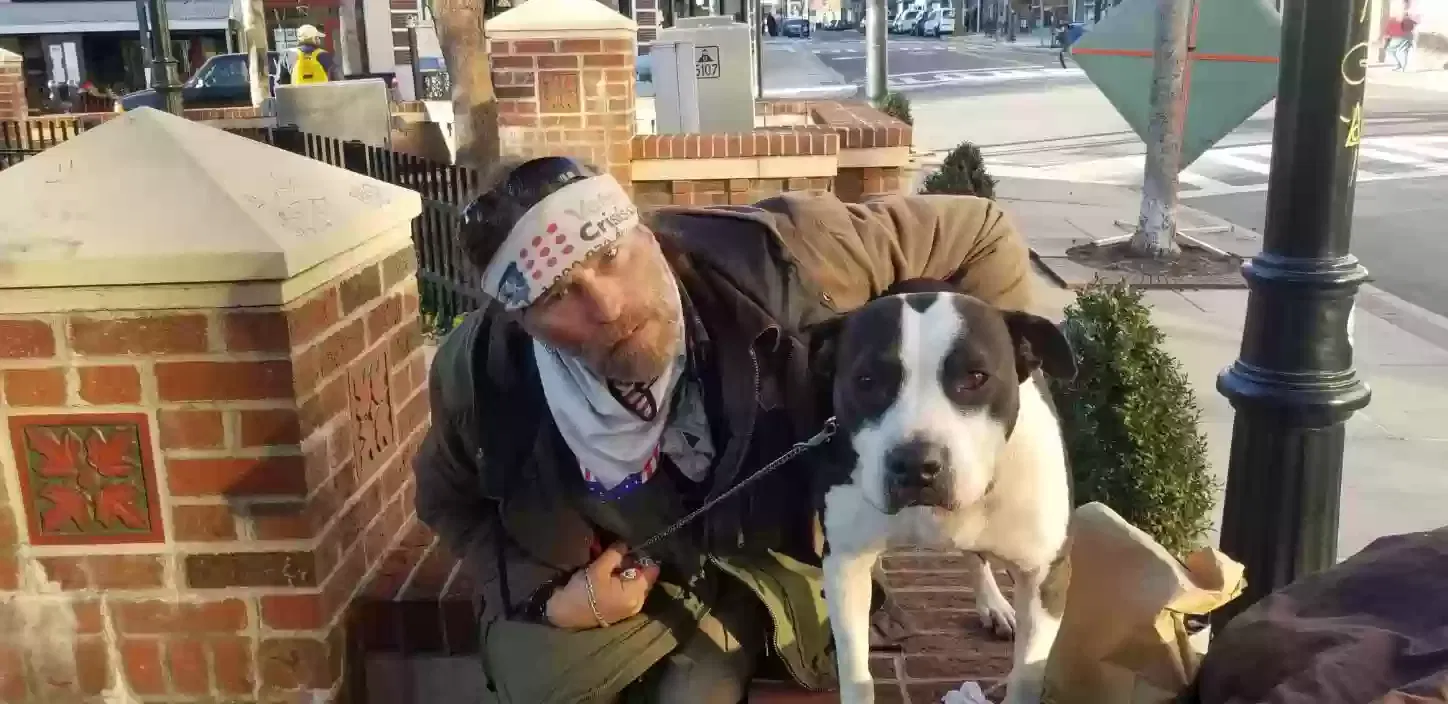 Lost dog in Asheville, NC, 28801
