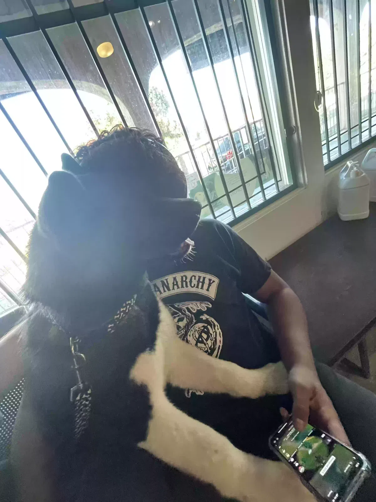 Lost dog in La Puente, CA, 91744