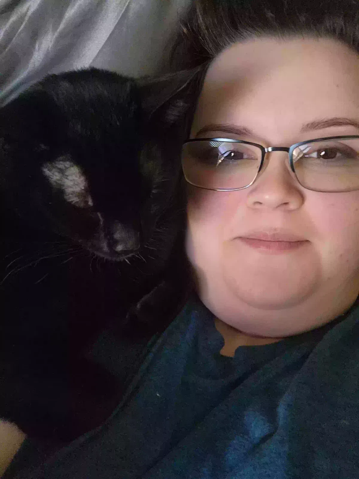 Lost cat in Helotes, TX, 78023