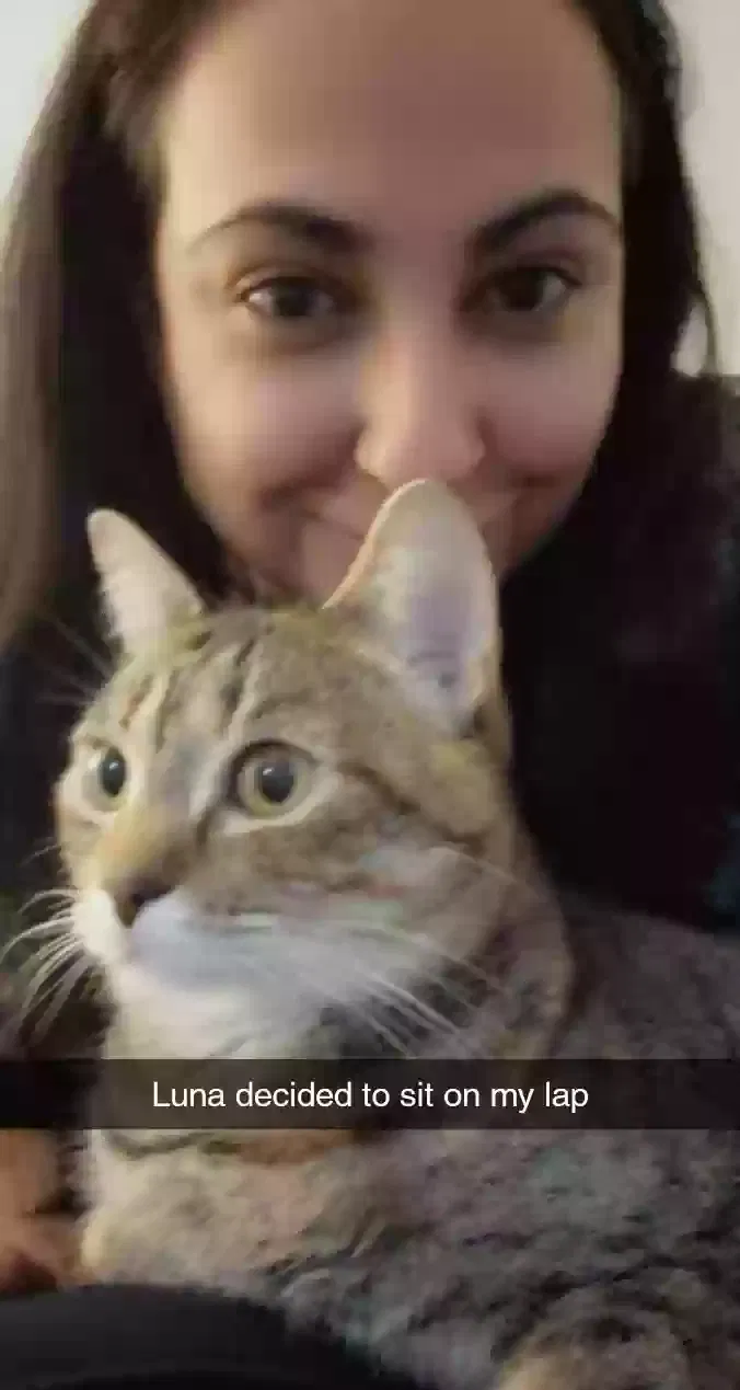 Lost cat in Minneapolis, MN, 55421
