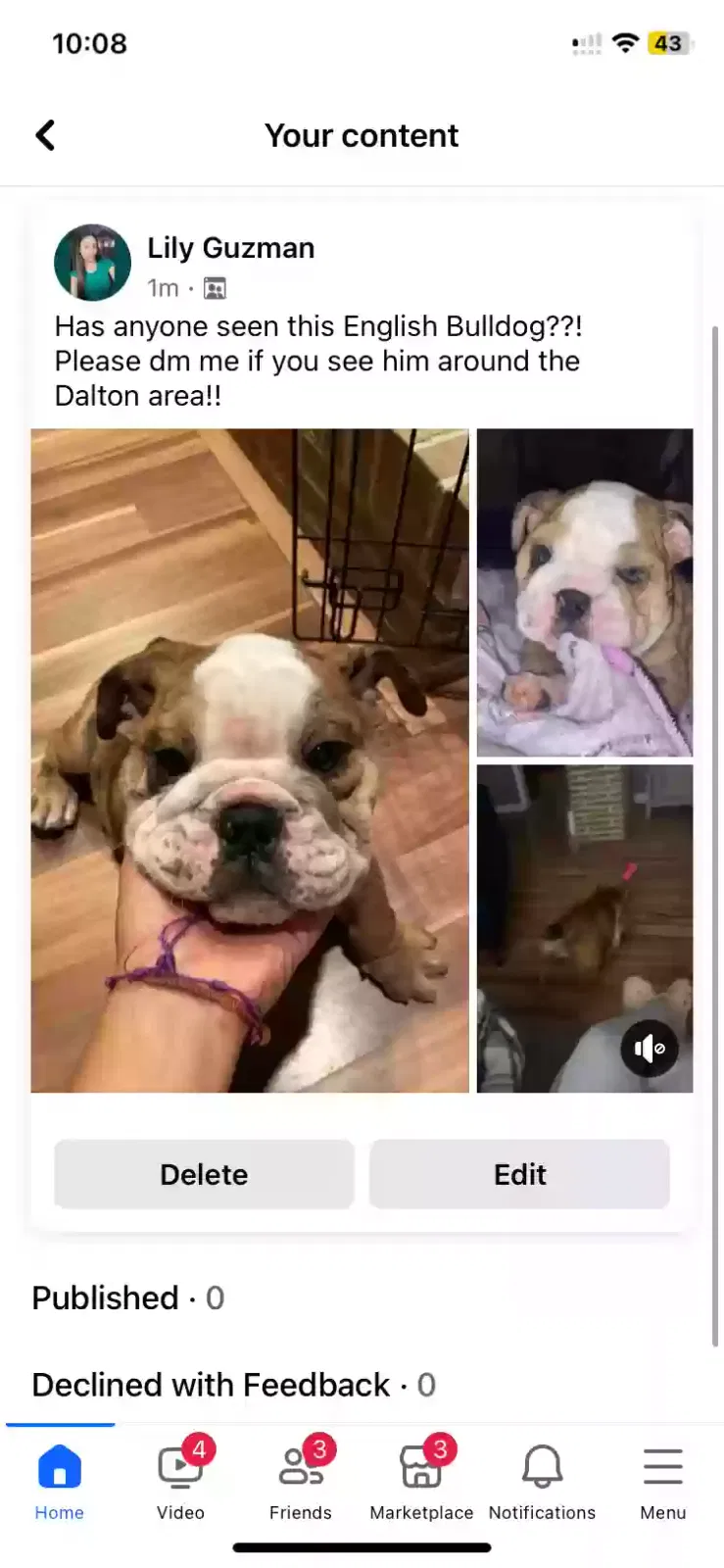 Lost dog in Dalton, GA, 30721
