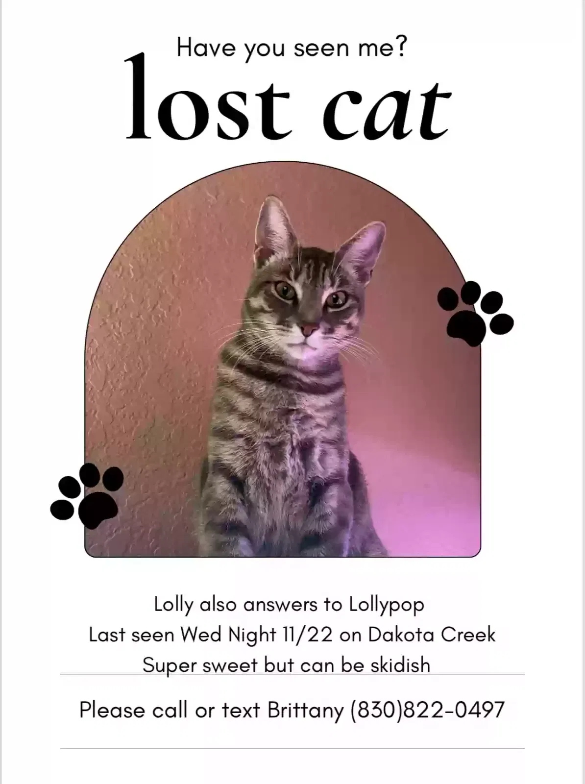 Lost cat in New Braunfels, TX, 78130