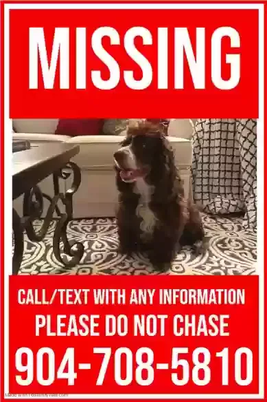 Lost dog in Saint Augustine, FL, 32092