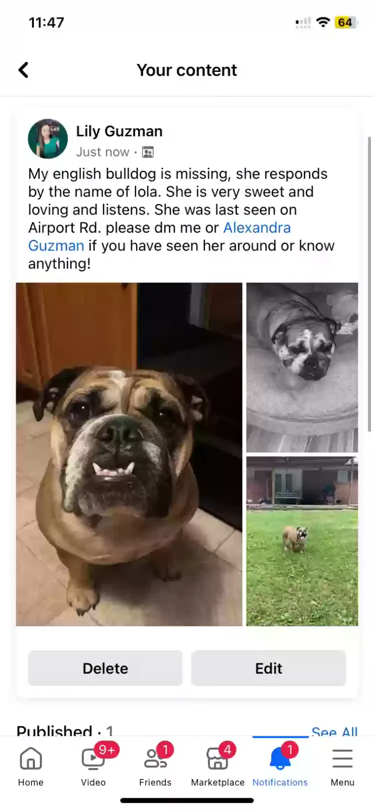 Lost dog in Dalton, GA, 30721