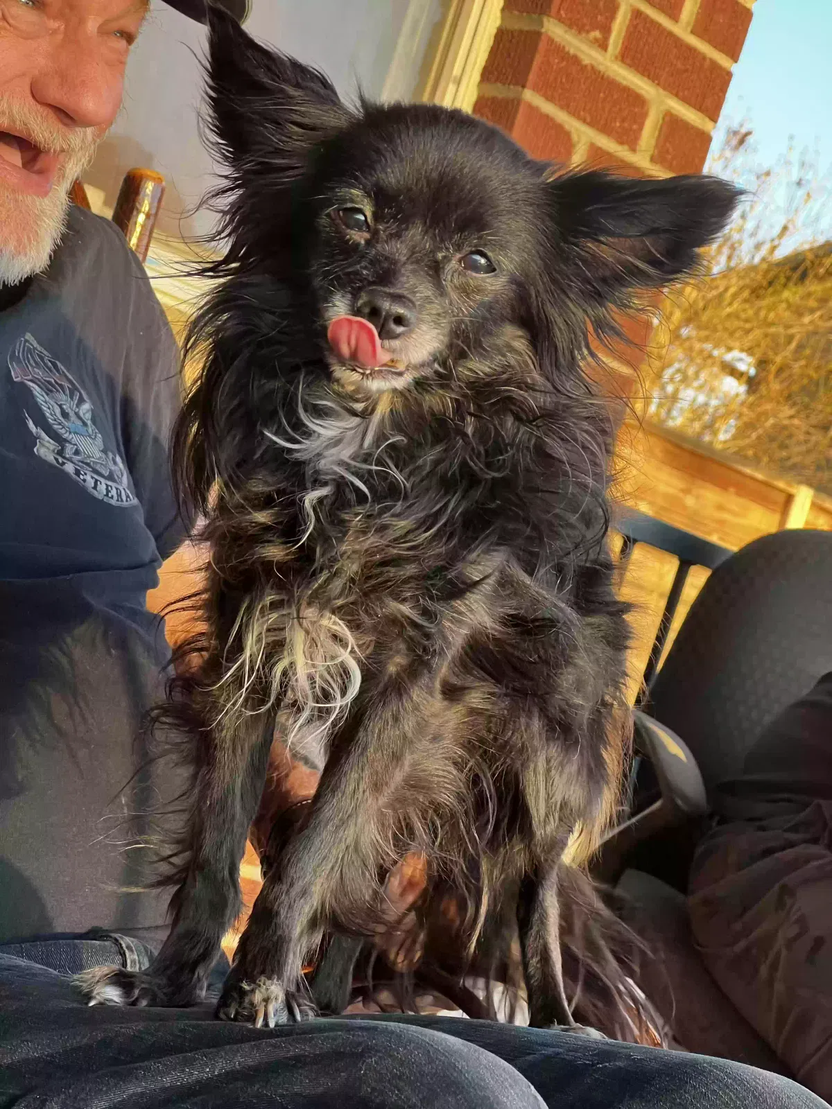 Lost dog in Commerce City, CO, 80022
