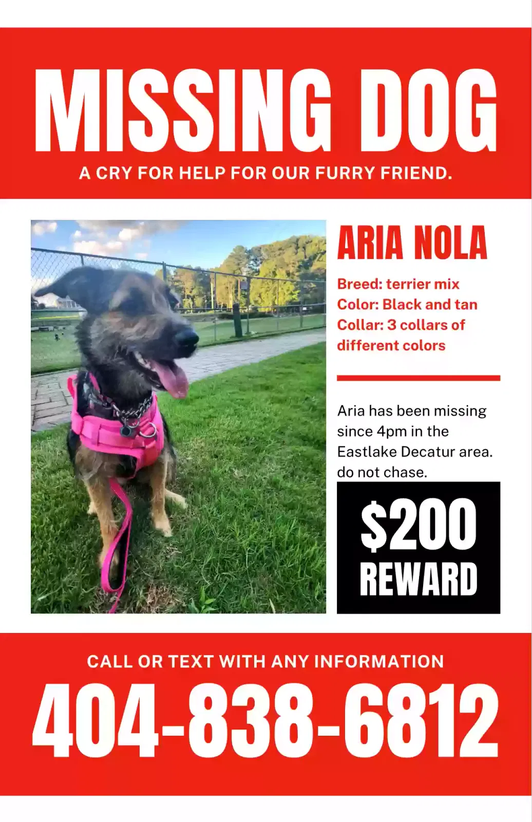 Lost dog in Decatur, GA, 30032