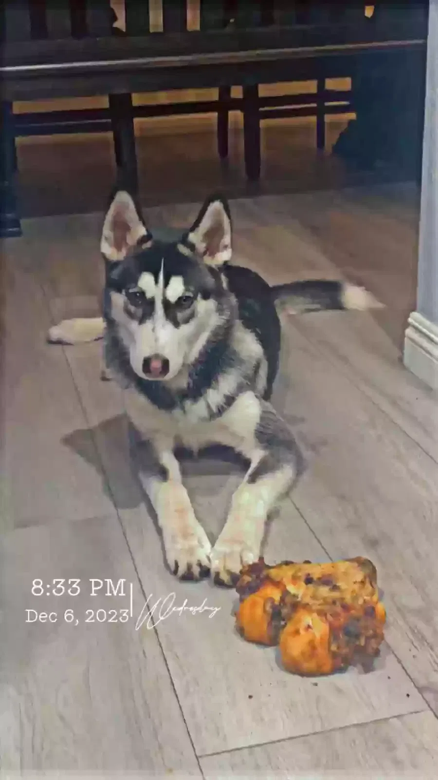 Lost dog in Moreno Valley, CA, 92551