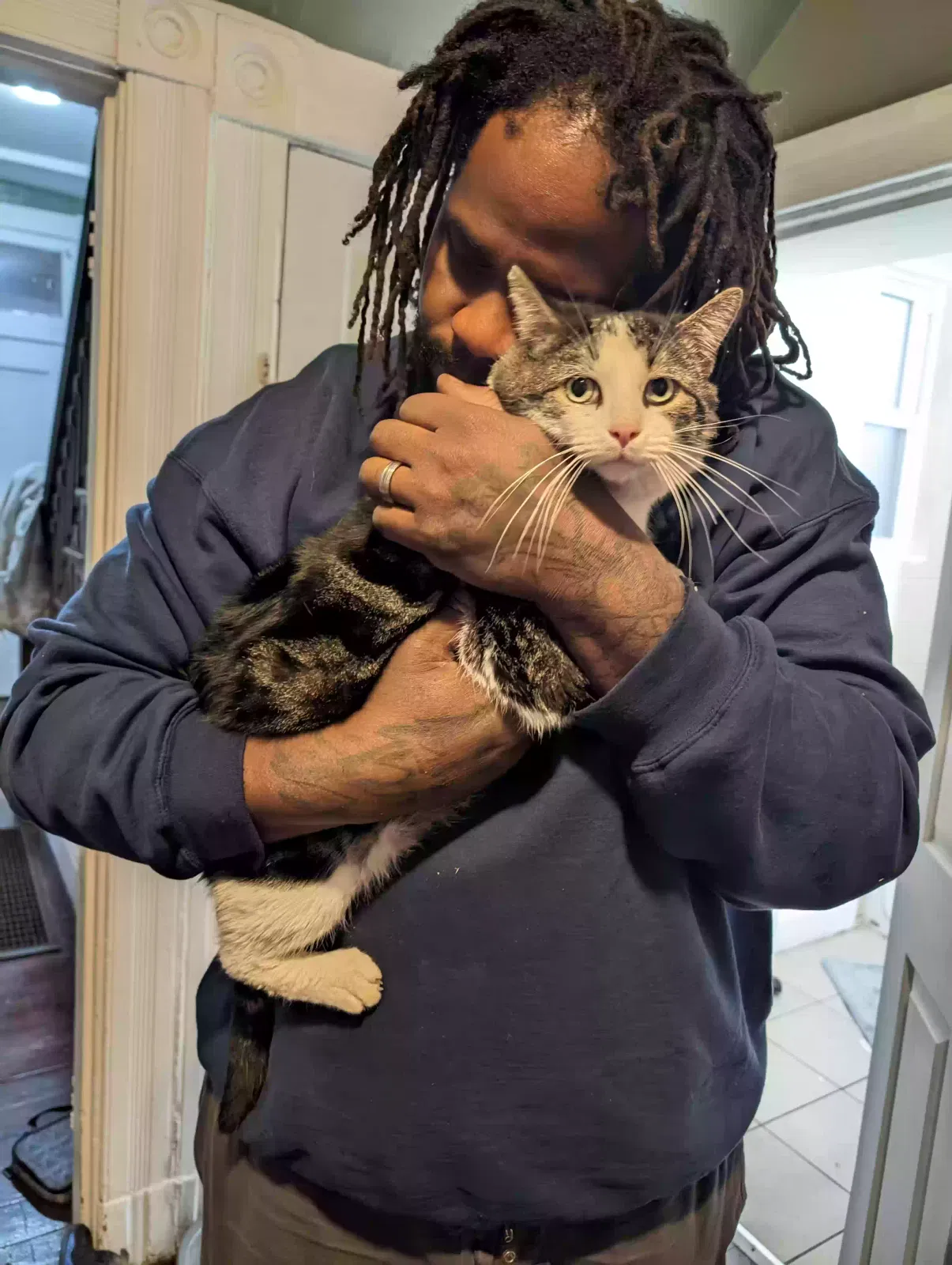 Lost cat in Cincinnati, OH, 45205