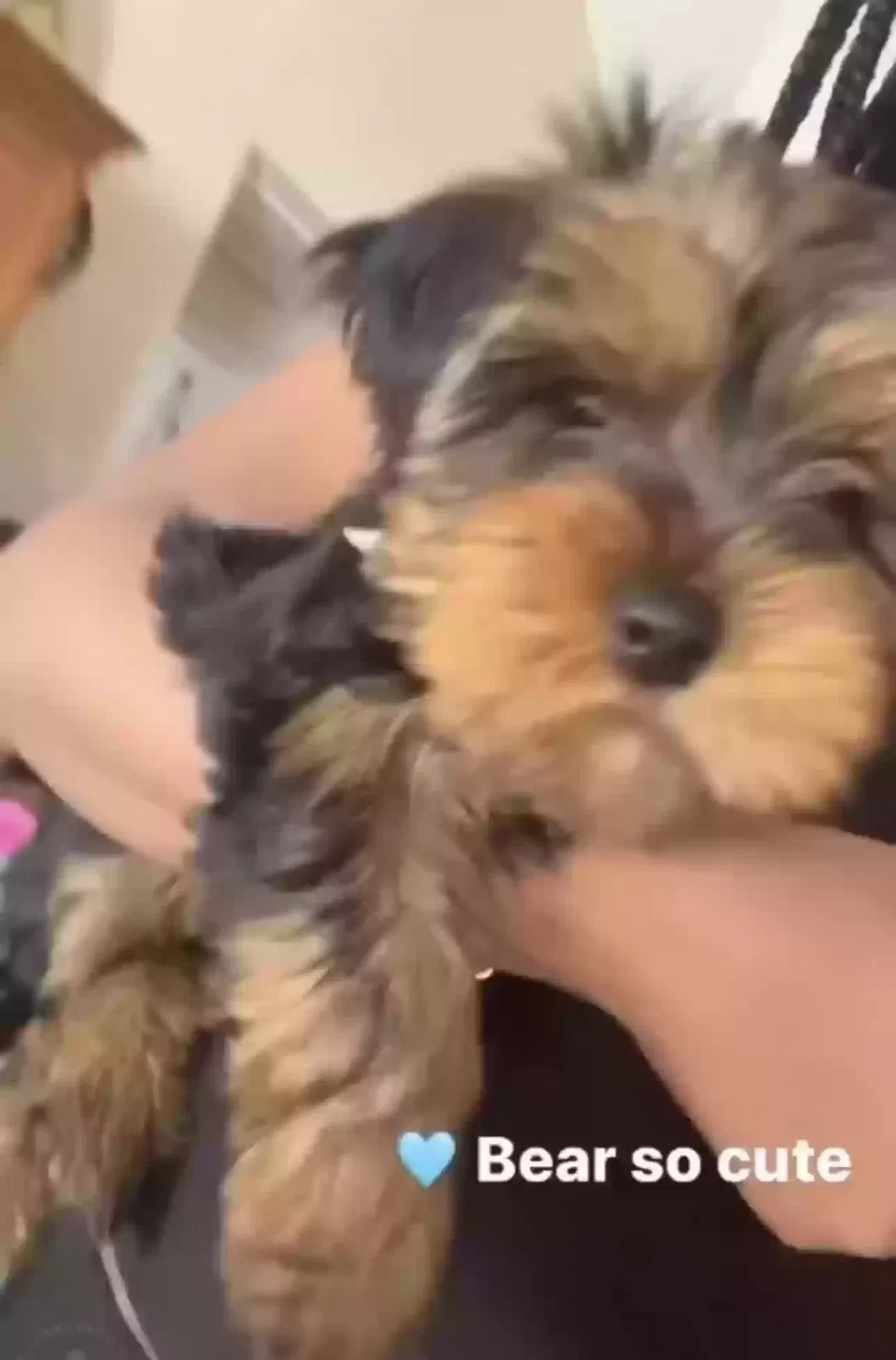 Lost dog in Jonesboro, GA, 30238