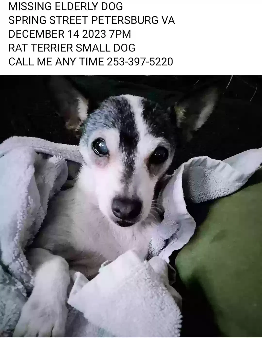 Lost dog in Petersburg, VA, 23803