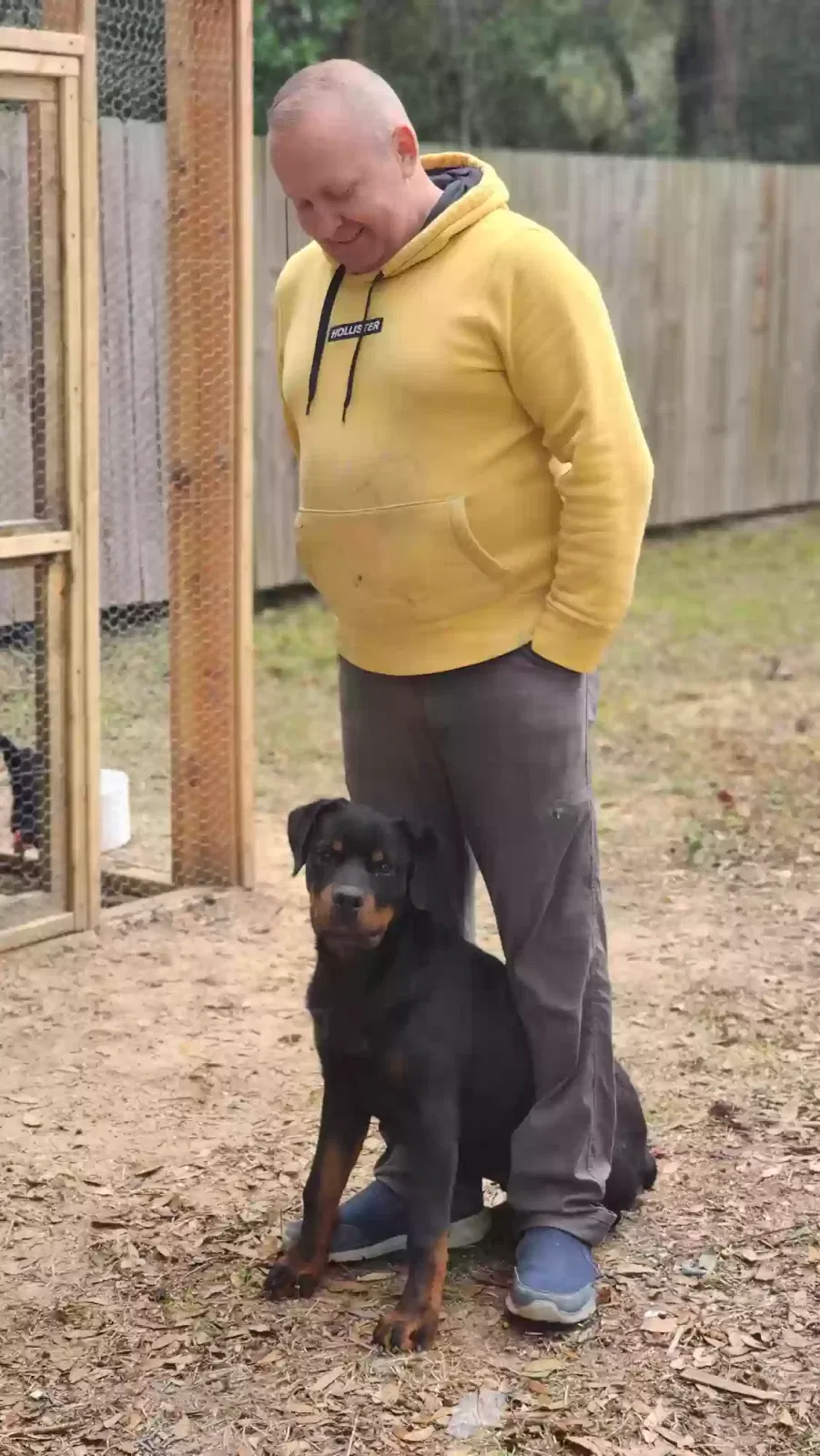 Lost dog in Pensacola, FL, 32506