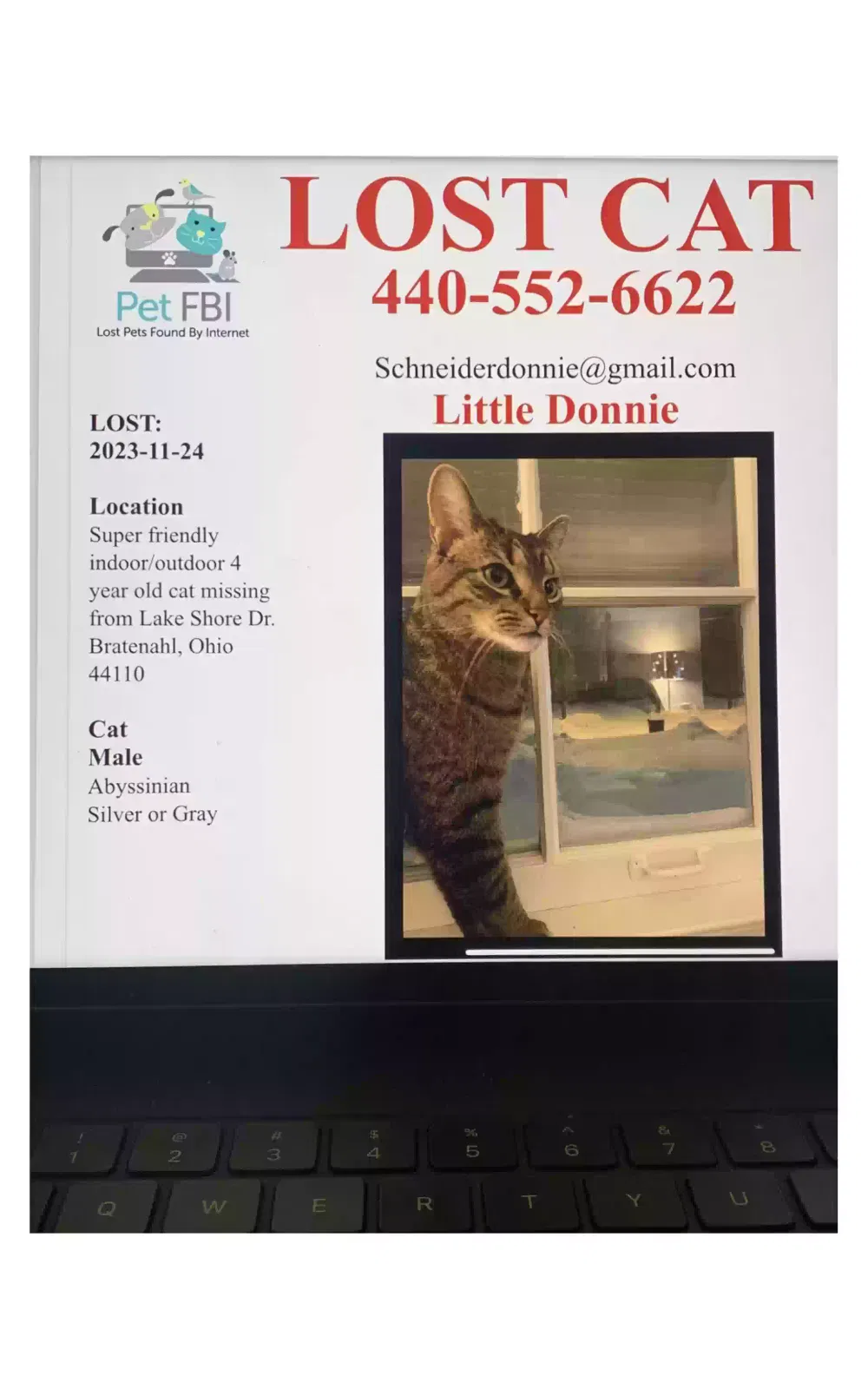 Lost cat in Cleveland, OH, 44110