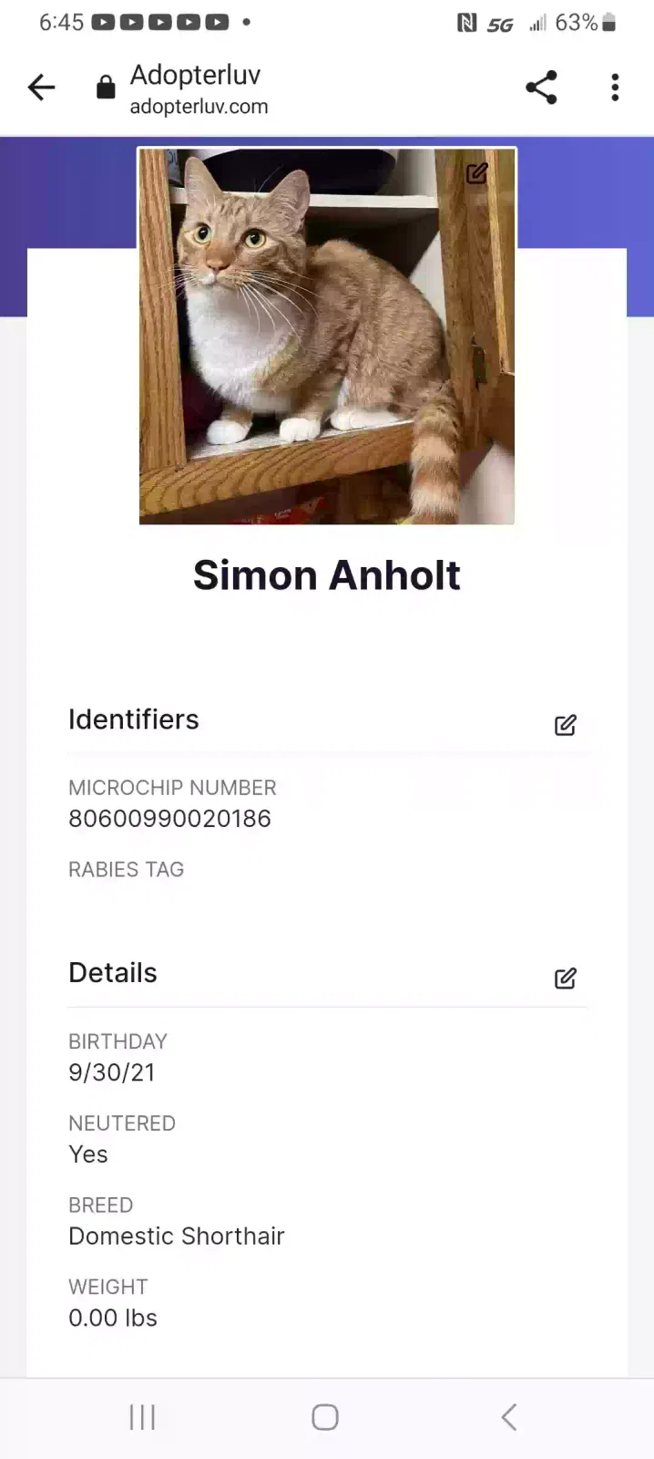 Lost cat in Eagle Mountain, UT, 84005
