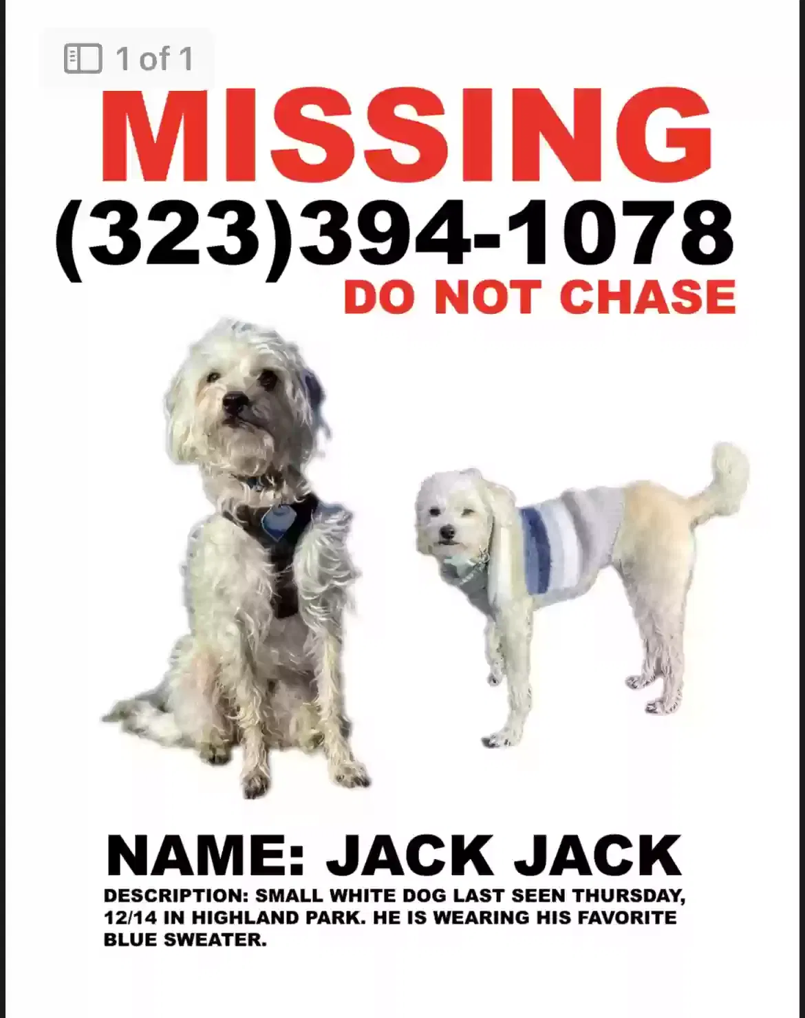 Lost dog in Los Angeles, CA, 90042