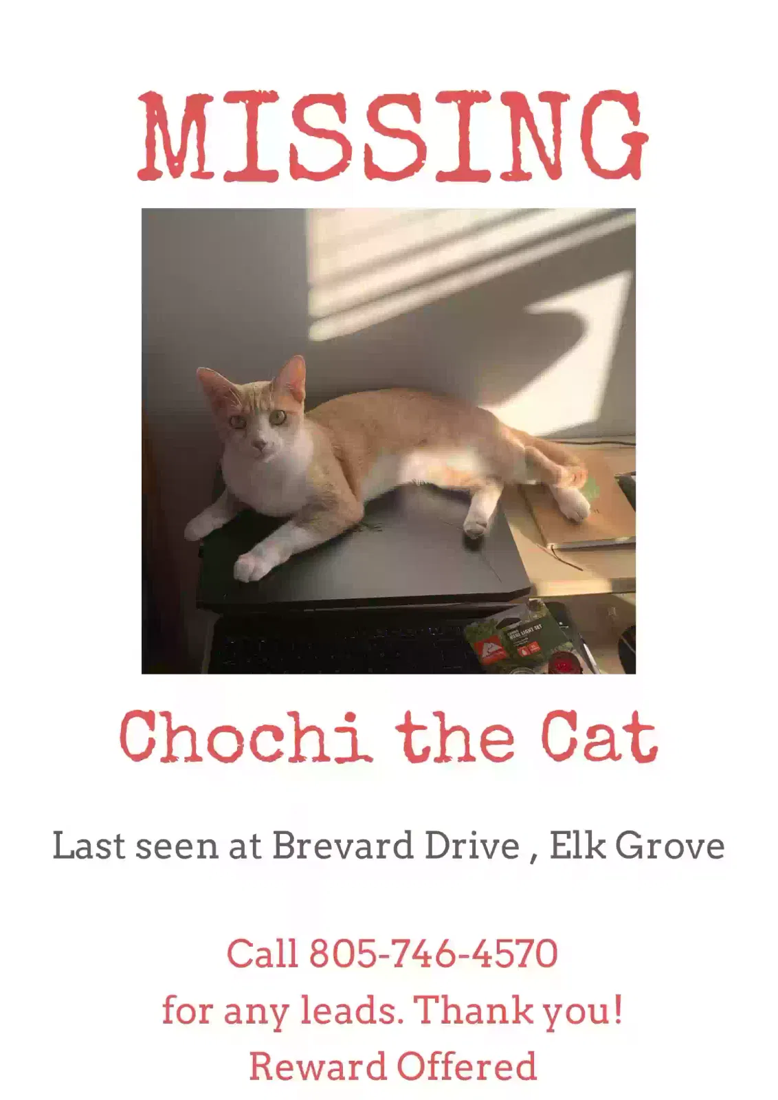 Lost cat in Sacramento, CA, 95829