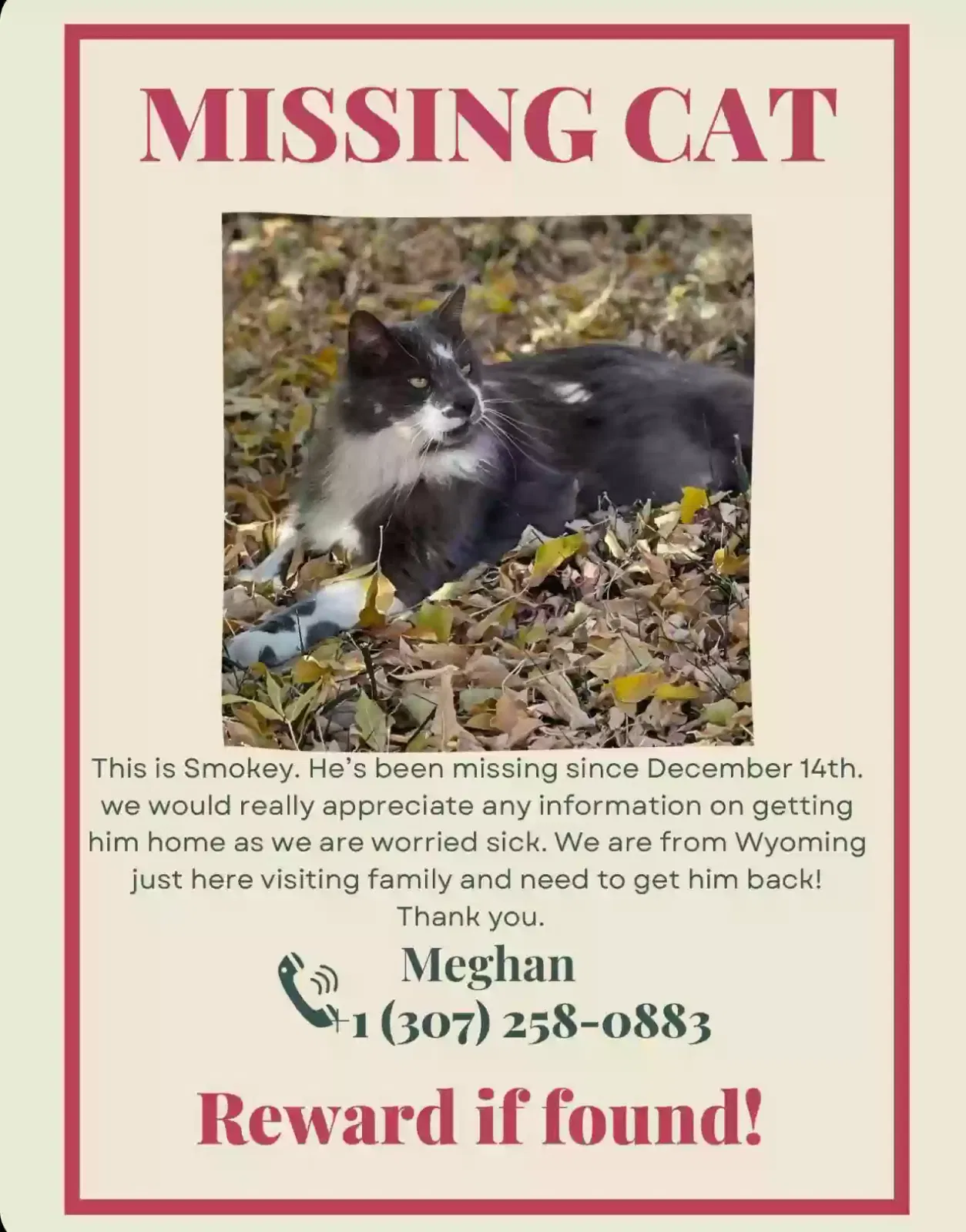 Lost cat in Oceanside, CA, 92052