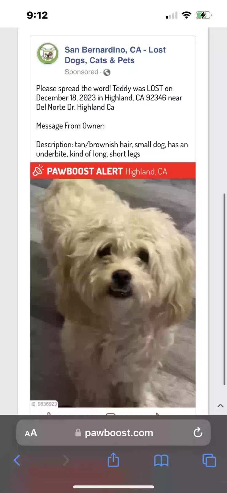 Lost dog in Highland, CA, 92346