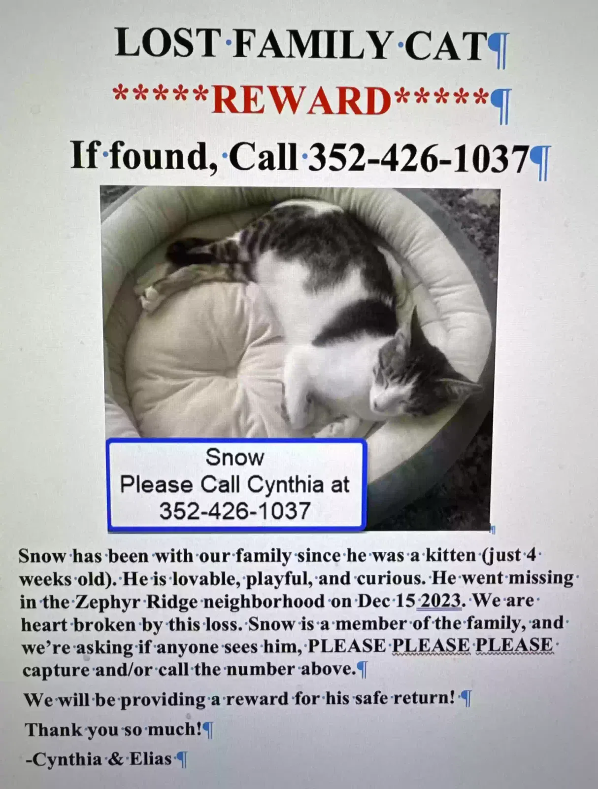 Lost cat in Zephyrhills, FL, 33541