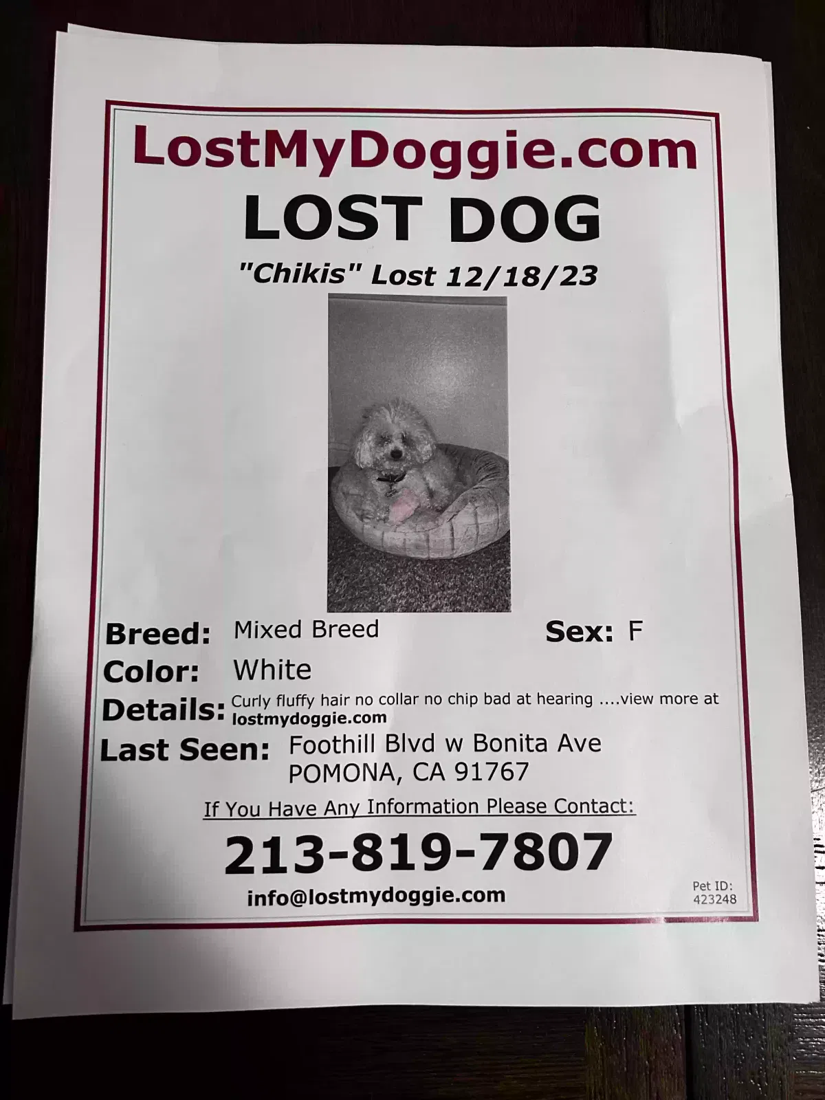 Lost dog in Pomona, CA, 91767