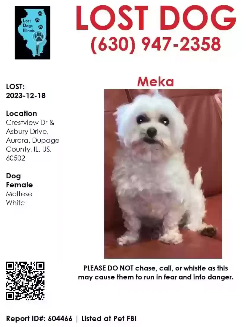 Lost dog in Aurora, IL, 60502