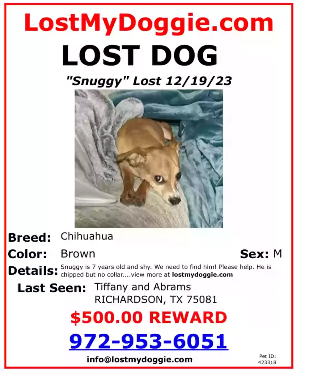 Lost dog in Richardson, TX, 75081