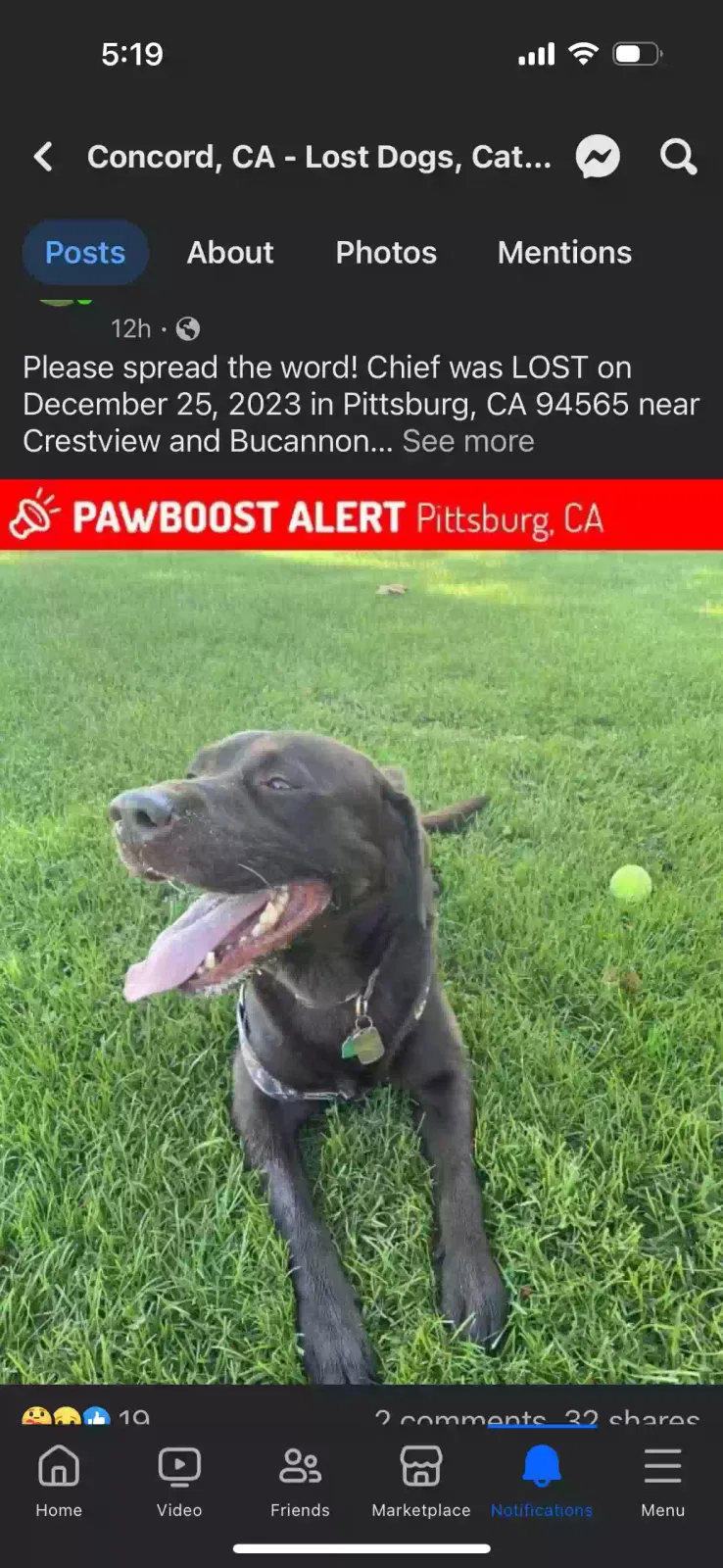 Lost dog in Pittsburg, CA, 94565