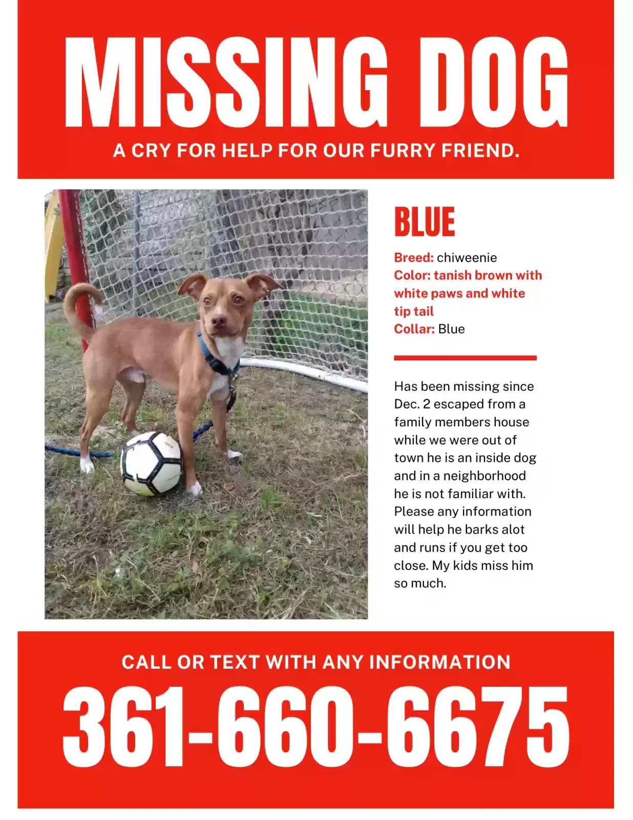 Lost dog in Corpus Christi, TX, 78411
