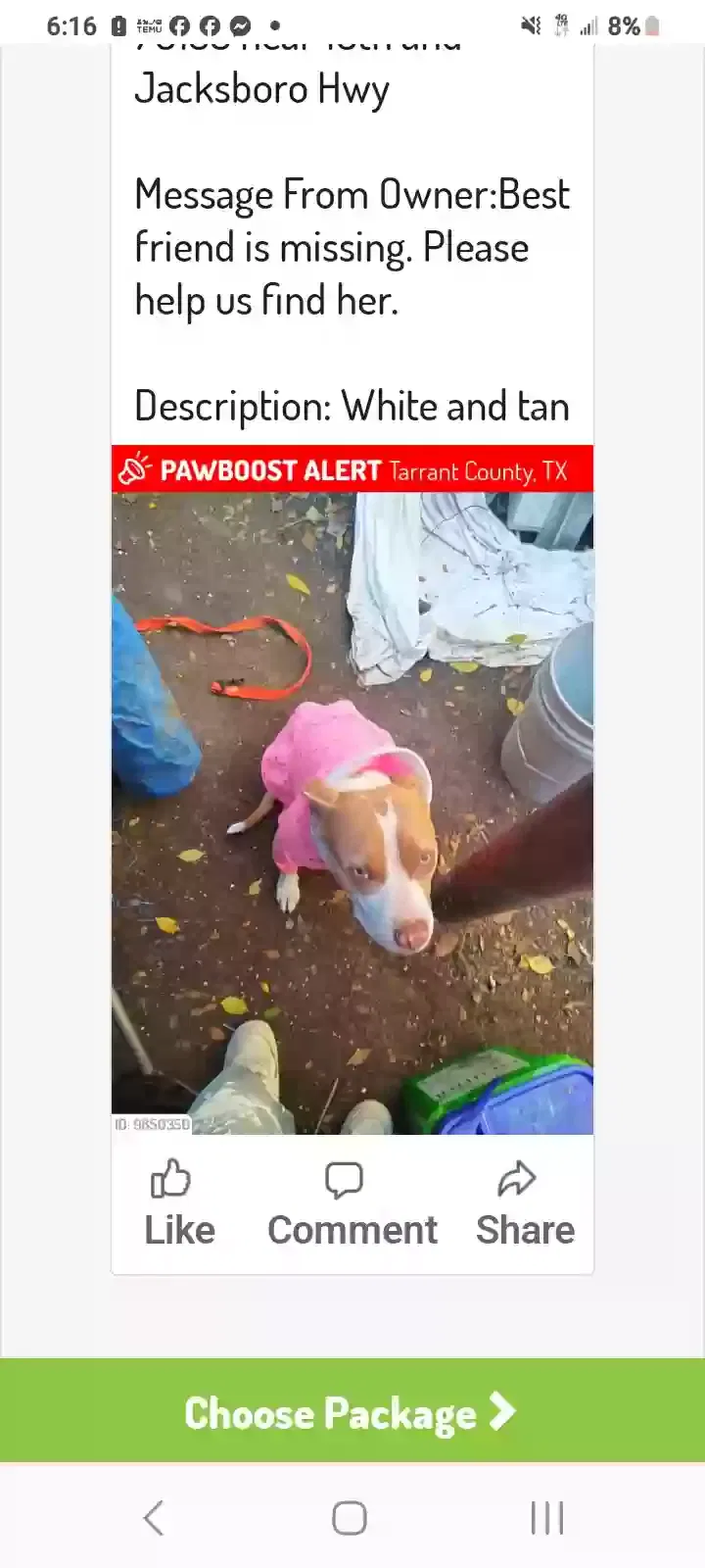 Lost dog in Fort Worth, TX, 76114