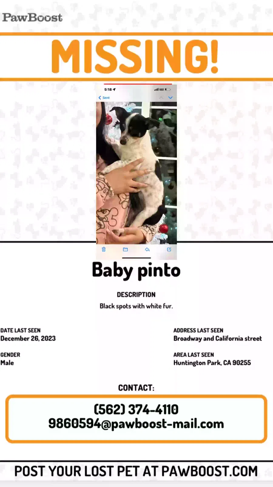 Lost dog in Huntington Park, CA, 90255