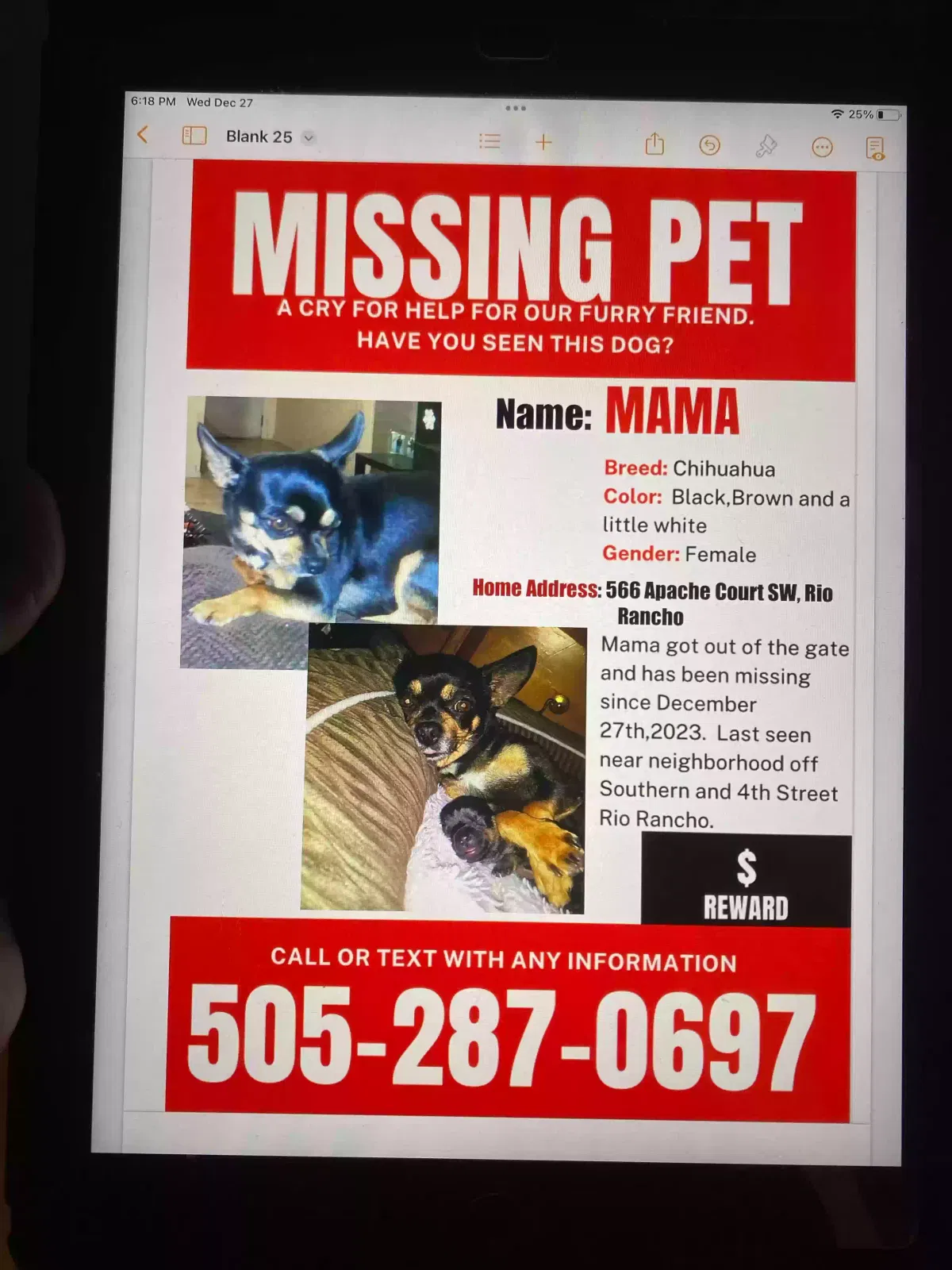 Lost dog in Rio Rancho, NM, 87124