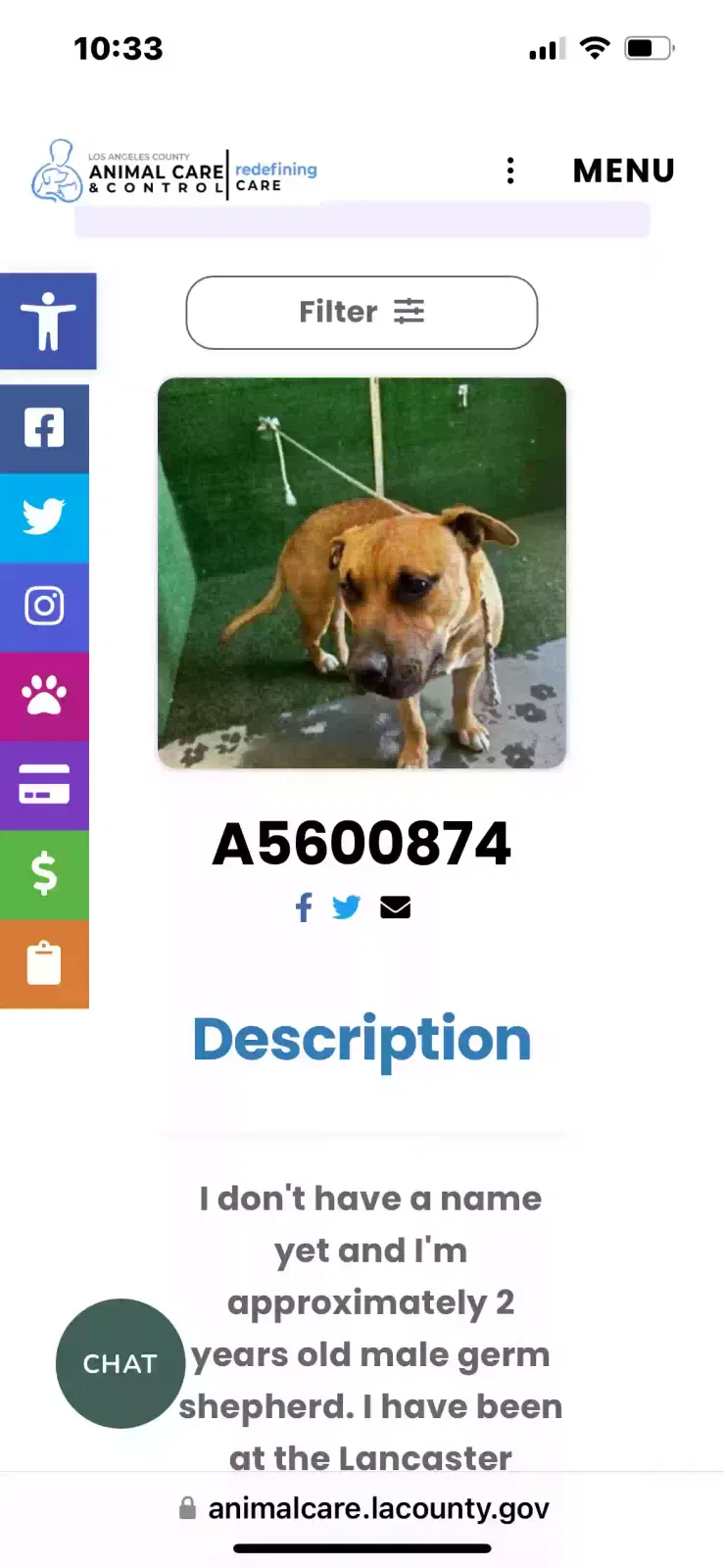 Found dog in Lancaster, CA, 93536