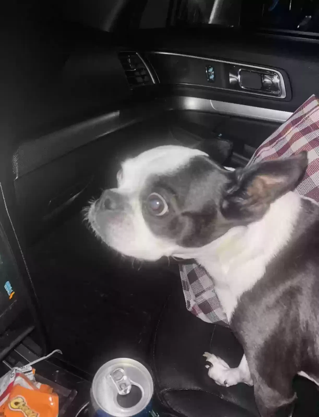Lost dog in Baytown, TX, 77521