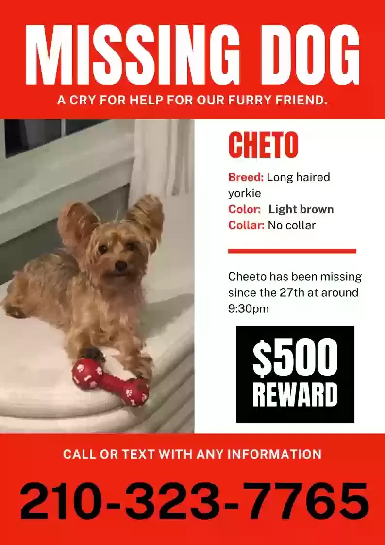 Lost dog in San Antonio, TX, 78258