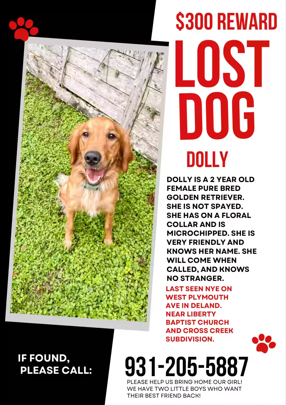 Lost dog in Deland, FL, 32720