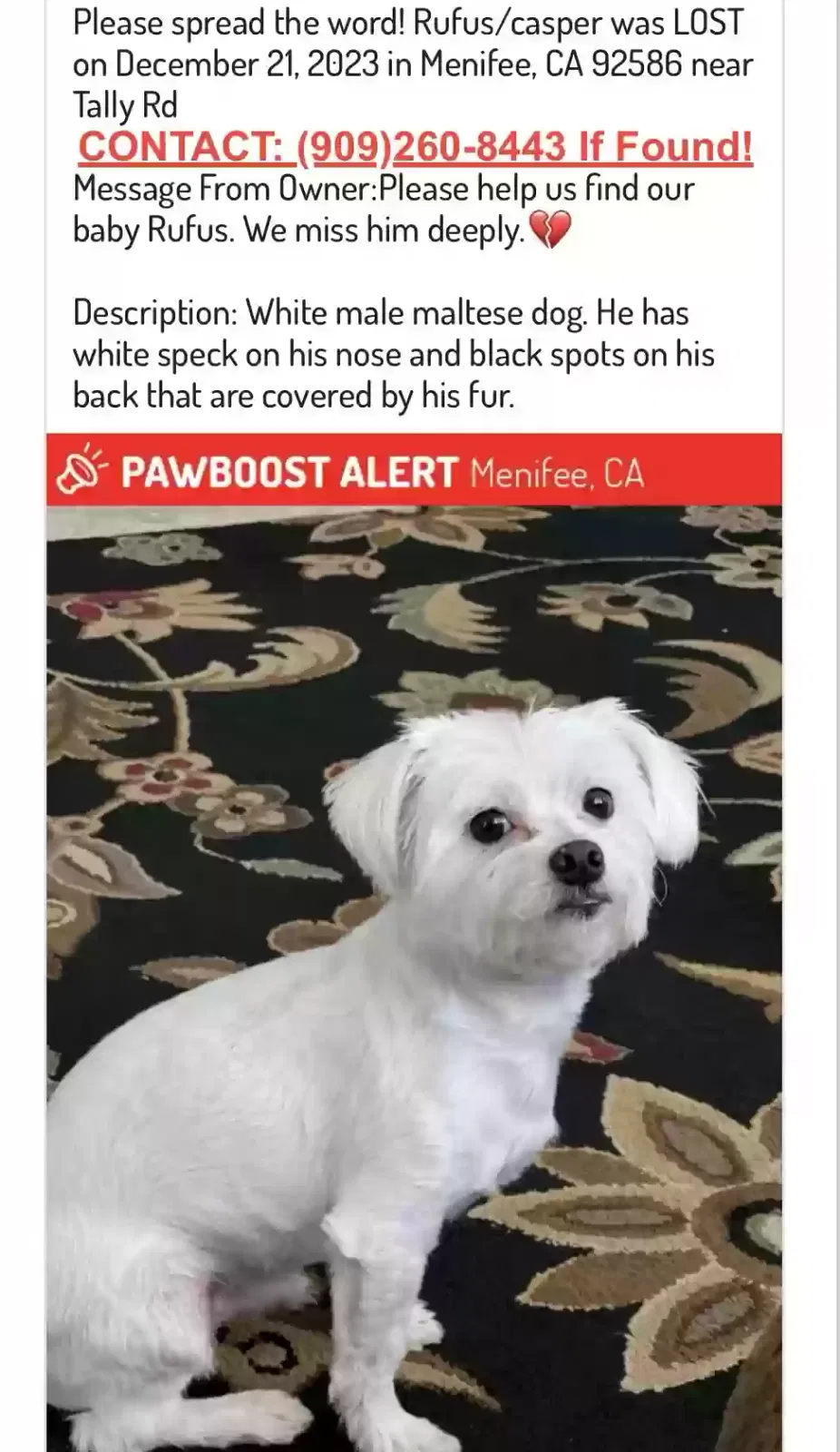 Lost dog in Menifee, CA, 92584