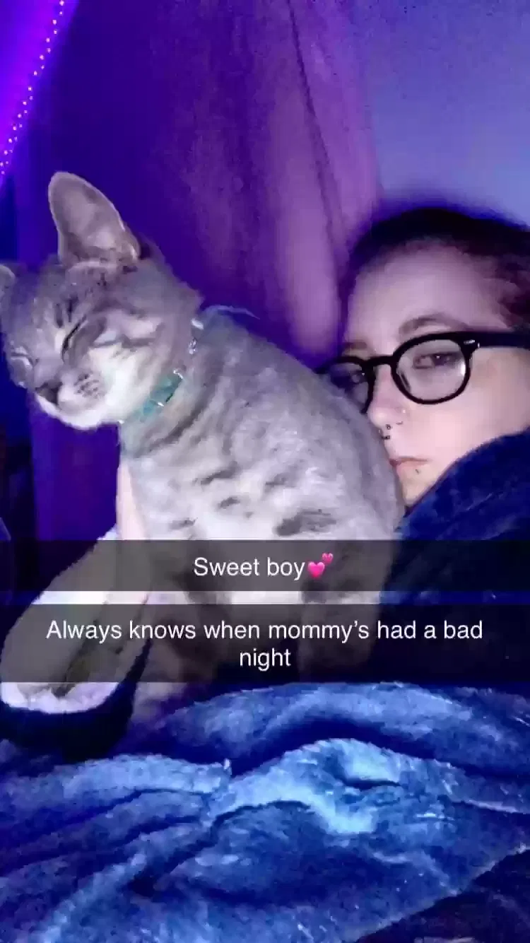 Lost cat in Sanford, NC, 27332