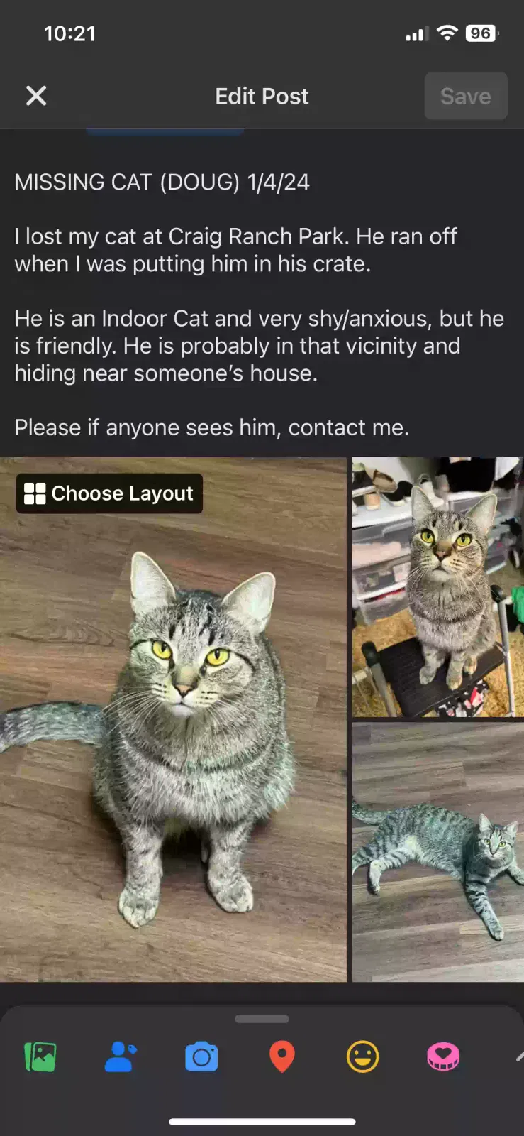 Lost cat in North Las Vegas, NV, 89032