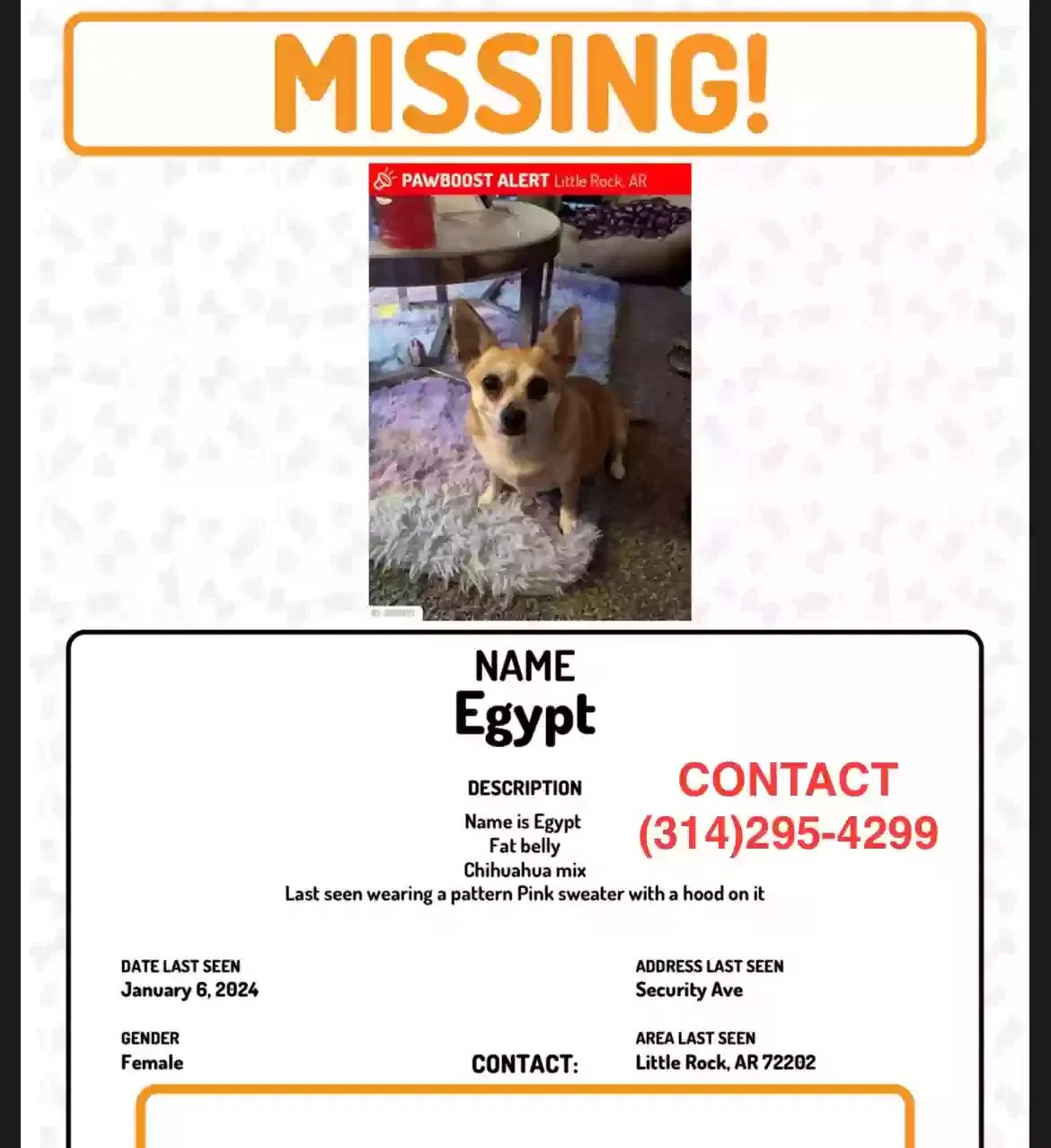 Lost dog in Little Rock, AR, 72202