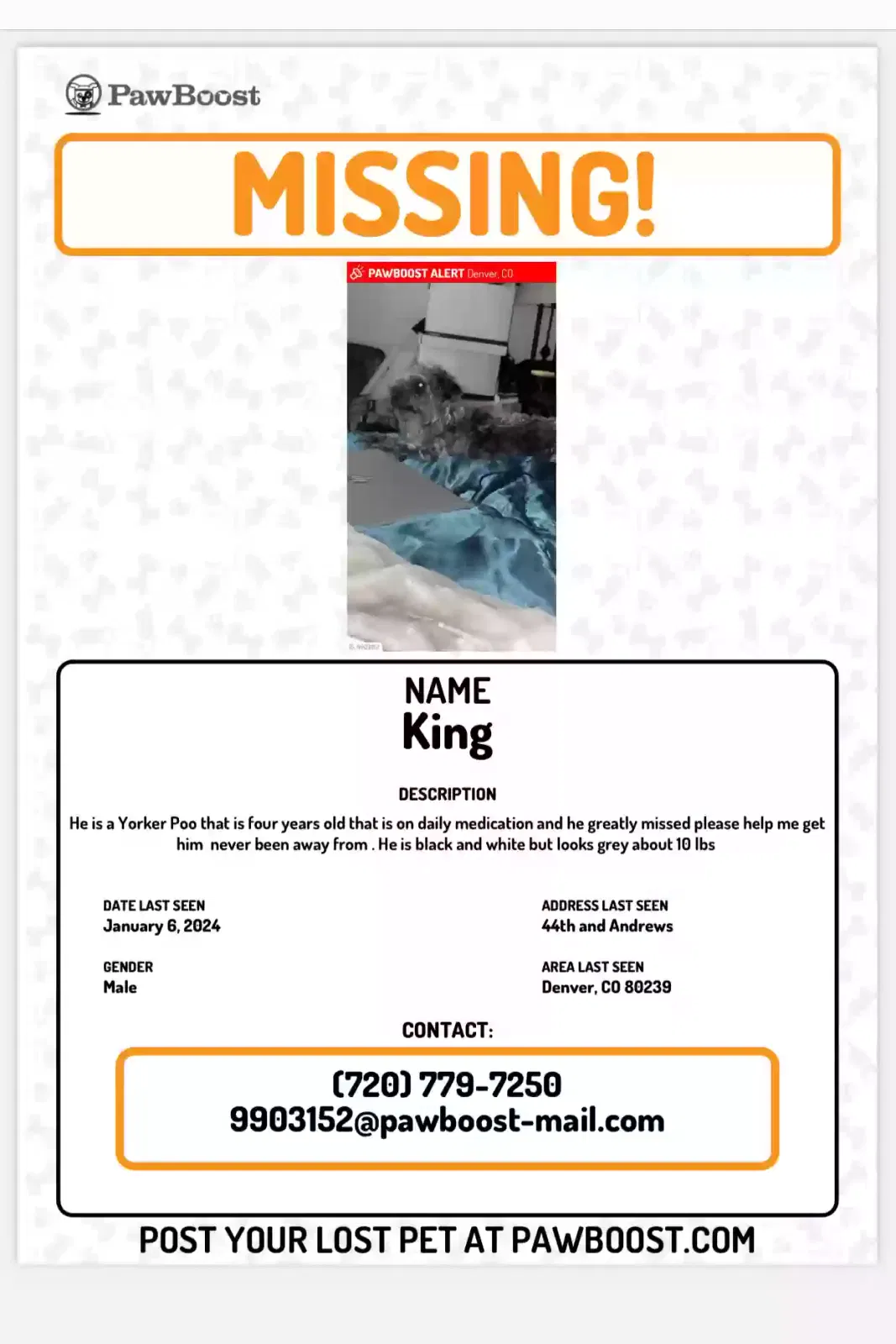 Lost dog in Denver, CO, 80239