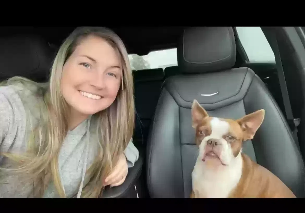 Lost dog in Mabank, TX, 75147
