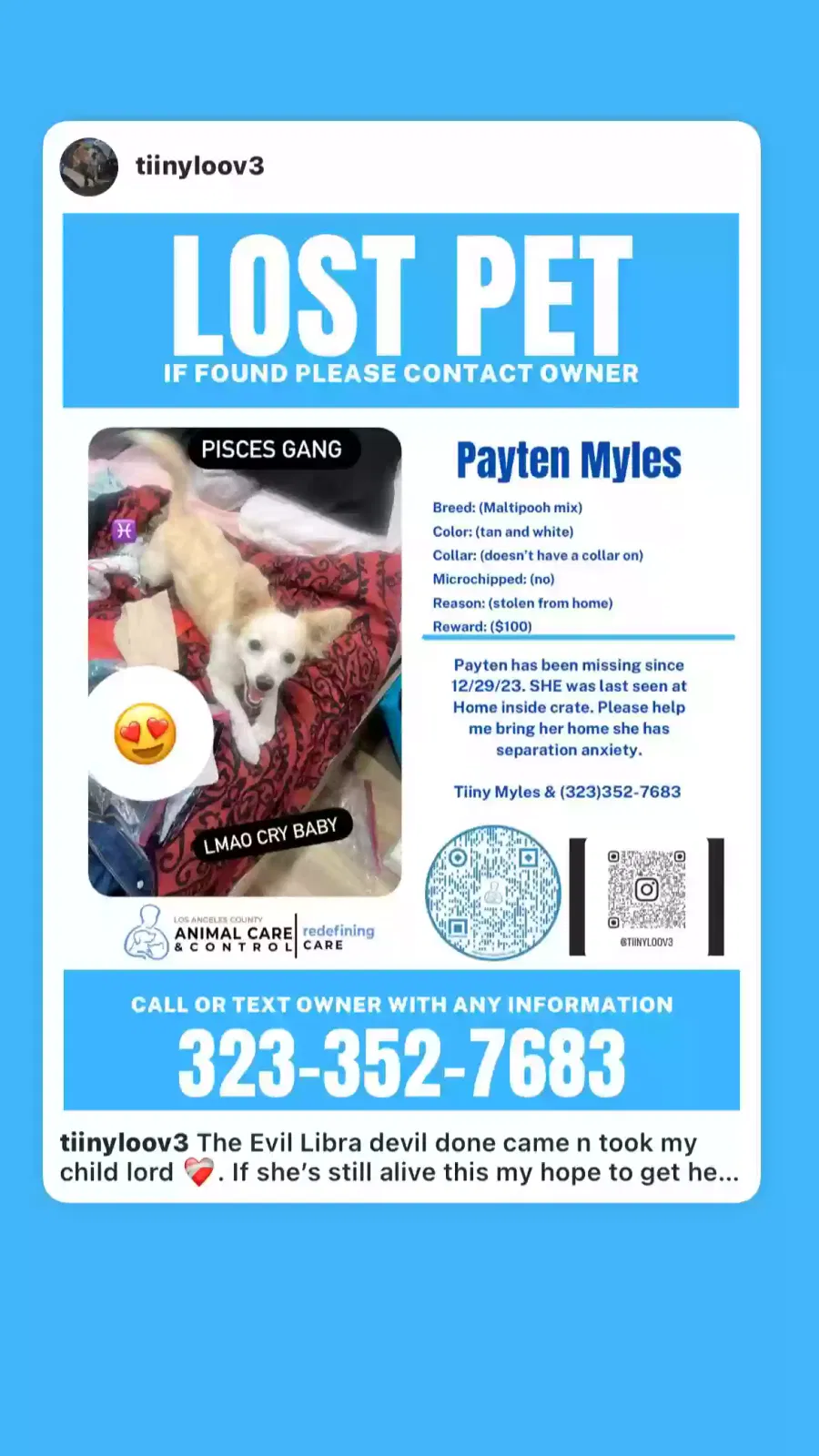 Lost dog in Los Angeles, CA, 90047