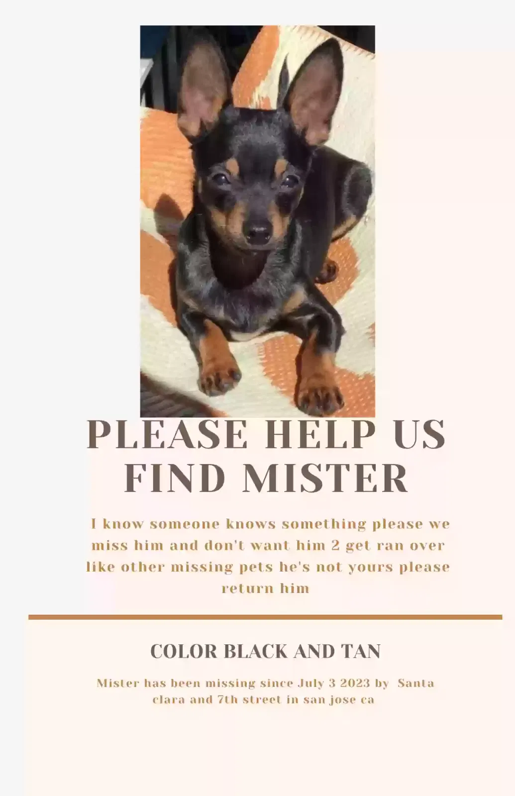Lost dog in San Jose, CA, 95118