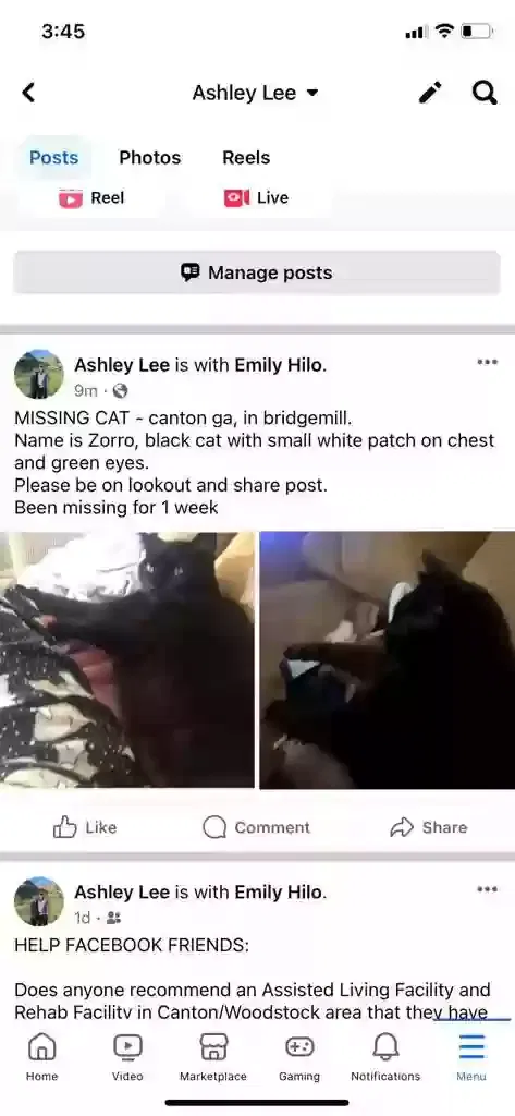 Lost cat in Canton, GA, 30114