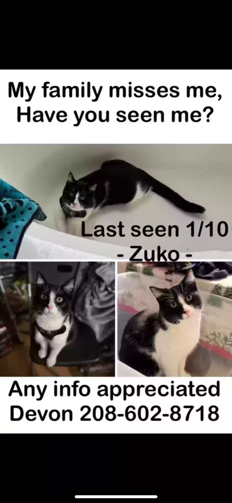 Lost cat in Nampa, ID, 83651