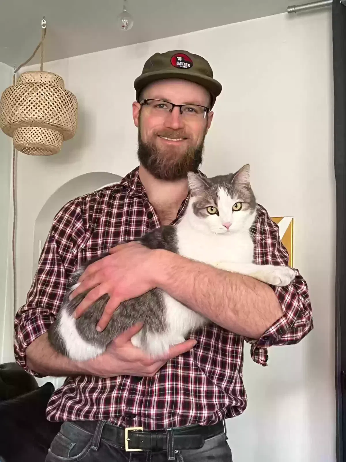 Lost cat in Salt Lake City, UT, 84103