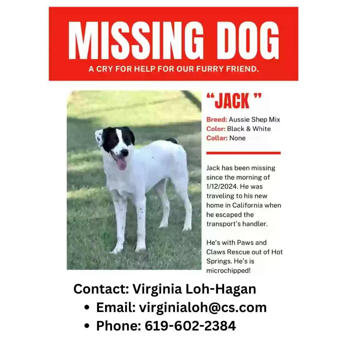 Lost dog in Booneville, AR, 72927