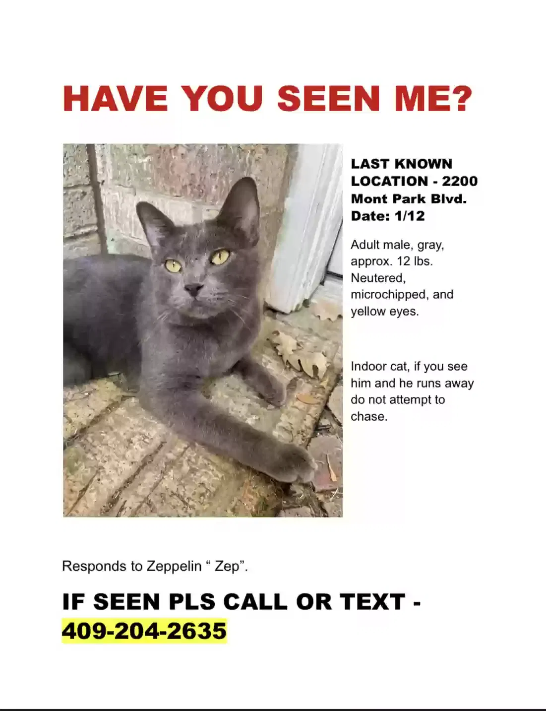 Lost cat in Conroe, TX, 77304