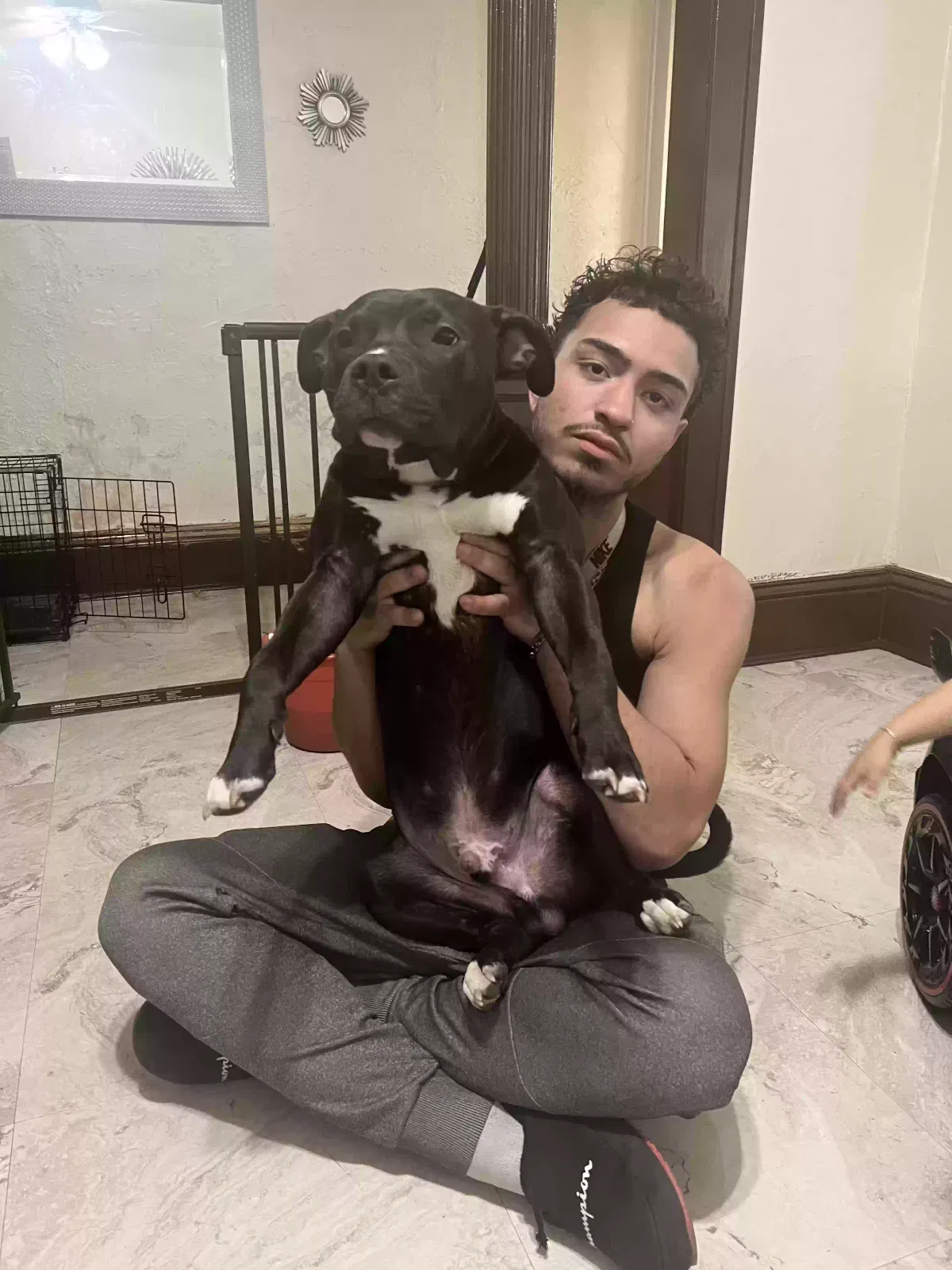 Lost dog in Cleveland, OH, 44113