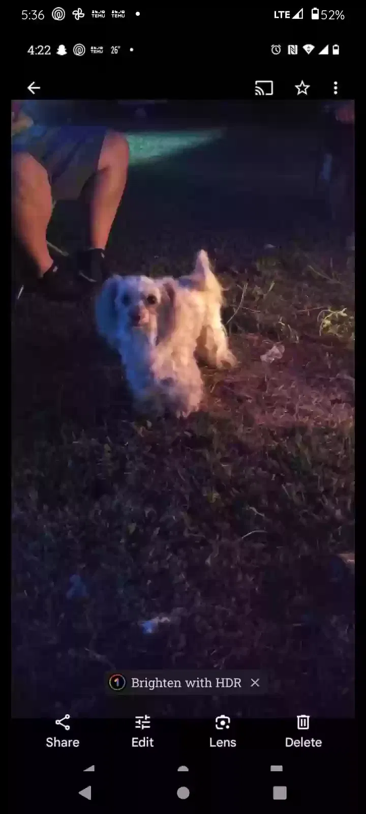 Lost dog in Baxter Springs, KS, 66713